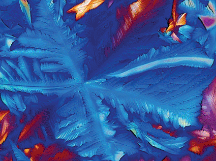 Imagen: Microfotografía de luz polarizada de cristales de la coenzima nicotinamida adenina dinucleótido (NAD) (Fotografía cortesía de Alfred Pasieka / SPL).